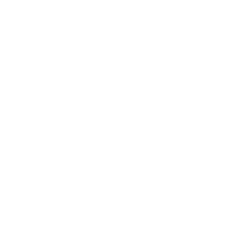 Ali'i Watch Company
